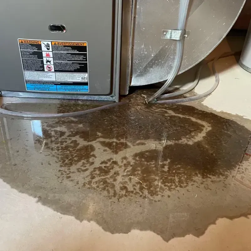 Appliance Leak Cleanup in Mason, TX